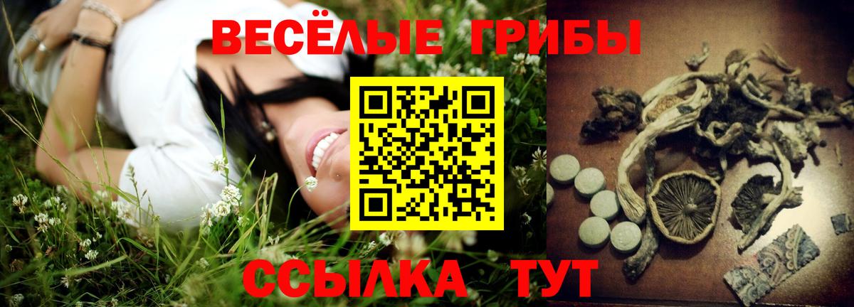 Галлюциногенные грибы прущие грибы Железногорск