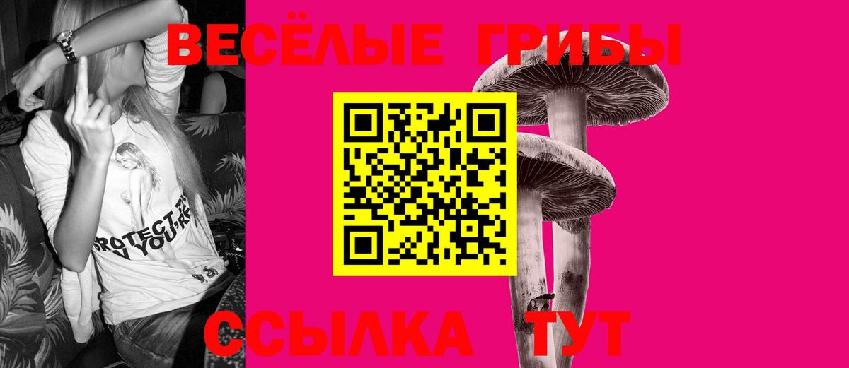 Галлюциногенные грибы GOLDEN TEACHER  Вход с VPN  Железногорск 
